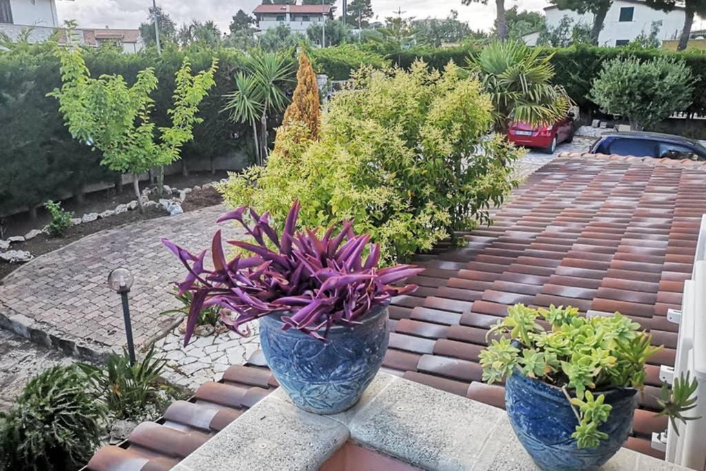 Villa Arenella В'єсте Екстер'єр фото